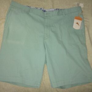 Tommy Bahama Men Light Green Flat Front Shorts Size 42